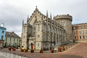 Visite privée de Dublin avec billets 'Skip-the-line' pour le château de Dublin