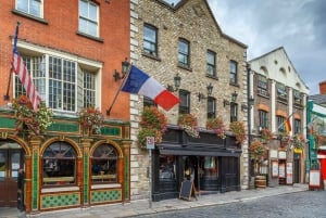 Privat rundtur i Dublin med Skip-the-line-biljetter till Dublin Castle