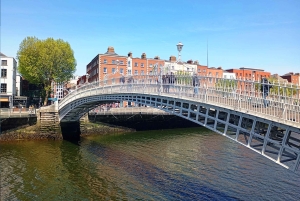 Privat omvisning til fots i Dublin