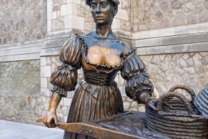 Privat omvisning til fots i Dublin