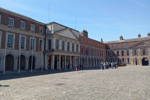 Privat omvisning til fots i Dublin