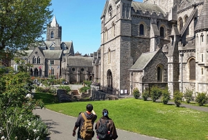 Privat omvisning til fots i Dublin