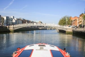Dublin: River Liffey Sightseeing Cruise