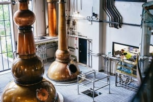 Dublin: Roe and Co Distillery Cocktail Workshop-oplevelse