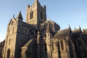 Dublín: Visita turística a pie en alemán