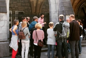 Dublin: Sightseeing Walking Tour på tyska