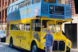 Il tour a piedi per piccoli gruppi a Dublino include Temple Bar.