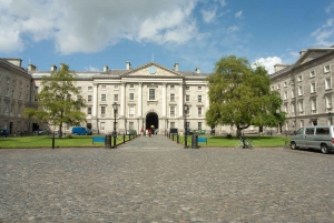 Dublin: Visita a St Patrick's, ao Livro de Kells e ao Castelo de Dublin