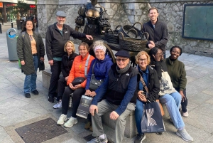 Dublin: Visita a St Patrick's, ao Livro de Kells e ao Castelo de Dublin