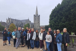 Dublin: Visita a St Patrick's, ao Livro de Kells e ao Castelo de Dublin