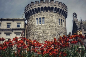 Dublin: Visita a St Patrick's, ao Livro de Kells e ao Castelo de Dublin