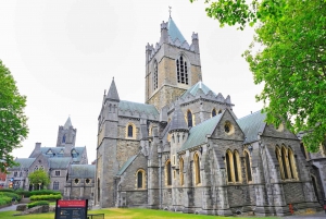 Dublin Walking Tour med biljetter till St Patrick's Cathedral
