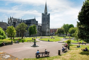 Dublin Walking Tour med billetter til St. Patrick's Cathedral