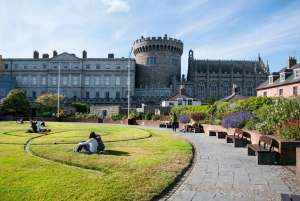 Wandeltour door Dublin met tickets voor St Patrick's Cathedral