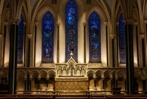 Dublin Walking Tour med billetter til St Patrick's Cathedral