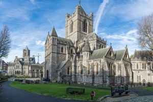 Dublin Walking Tour med billetter til St. Patrick's Cathedral