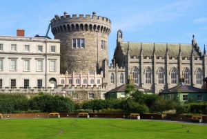 Visite à pied de Dublin avec billets pour la cathédrale St Patrick