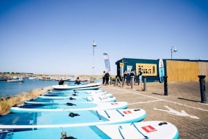 Dublin: Stand-Up Paddleboarding Solo & Guided Sessions