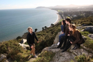 Dublin Surrounds Day Tour: Killiney Hill & Dalkey Castle