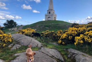 Dublin Surrounds Day Tour: Killiney Hill & Dalkey Castle