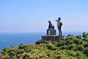 Dublin Surrounds Day Tour: Killiney Hill & Dalkey Castle