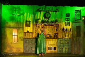 Dublin ; Taylor's Irish Night and Cabaret Shows.