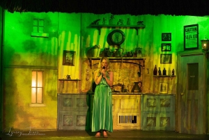 Dublin; Taylor's Irish Night e Cabaret Shows.