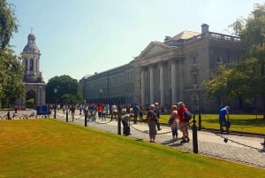 Dublin: Fantastyczna prywatna wycieczka piesza