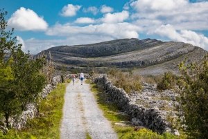 Частный тур по Дублину к скалам Мохер и Голуэю на машине