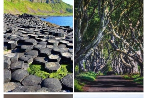 Luxe privétour van Dublin naar reuzenhoofdweg