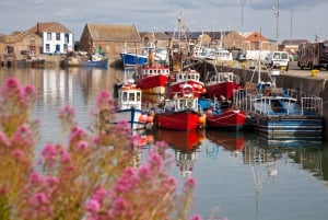 Dublin to Howth Half-Day Guided Hiking Trip by Car or Ferry