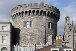 Dublin Top Sights - City of Vikings Historical Walking Tour