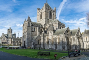 Dublin Top Sights - City of Vikings Historical Walking Tour