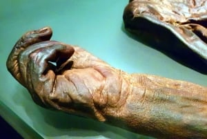 Dublin: Excursão particular aos Museus Tesouros da Irlanda