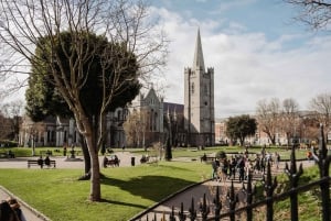 Dublin: Trinity College, Castle, Guinness og Whiskey Tour