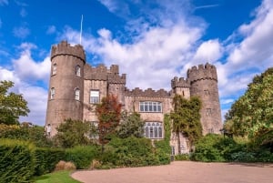 Visite privée de Dublin avec les Vikings et le château de Norman dans une voiture de luxe