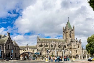 Dublin Viking and Norman Castle Private Tour in einem Luxuswagen