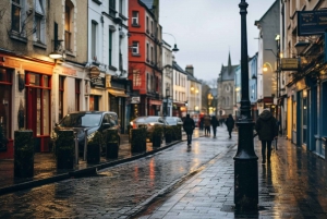 Dublin : Den ultimate digitale guiden