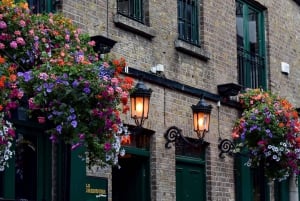 Dublin: Walking Tour and Whiskey Distillery with Tastings