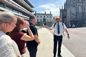Dublin Walking Tour: Slott og katedraler med en lokal ekspert