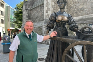 Dublin Walking Tour: Slott og katedraler med en lokal ekspert