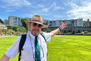 Dublin Walking Tour: Slott og katedraler med en lokal ekspert