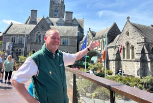 Dublin Walking Tour: Slott og katedraler med en lokal ekspert