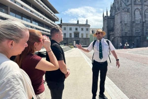 Dublin byvandring: Slot og katedraler med en lokal ekspert