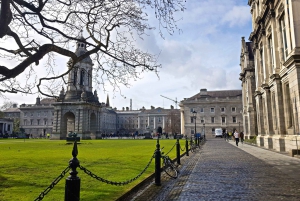Dublin: Walking Tour for Seniors