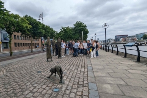 ダブリン：中世の城壁からグラフトン地区までのウォーキングツアー