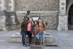 ダブリン：中世の城壁からグラフトン地区までのウォーキングツアー