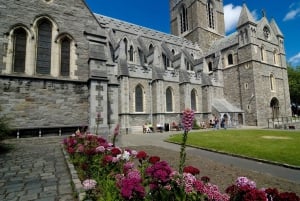 Dublin Walking Tour with Tickets to St Patrick's Cathedral