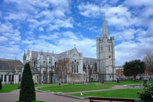 Visite à pied de Dublin avec billets pour la cathédrale St Patrick