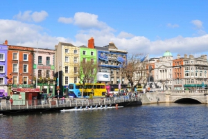 Dublin Walking Tour med biljetter till St Patrick's Cathedral